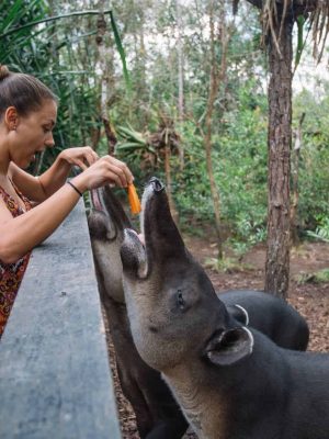 Belize Zoo Central Belize Family Tour