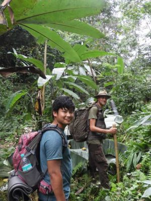 Jungle Survival Experience belize